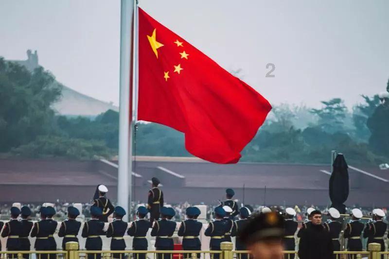 救援可爱的洋葱