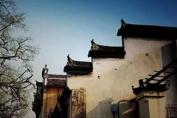 女武神：苍蓝革命